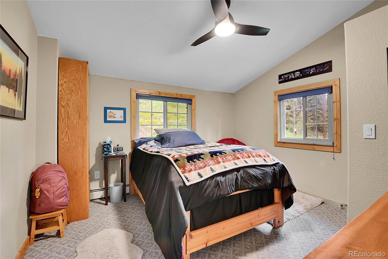 MLS Image #22 for 11182 s barney gulch road,conifer, Colorado