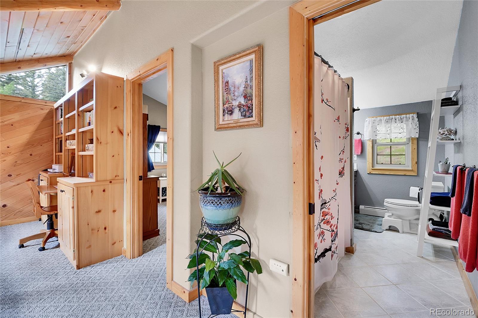 MLS Image #23 for 11182 s barney gulch road,conifer, Colorado