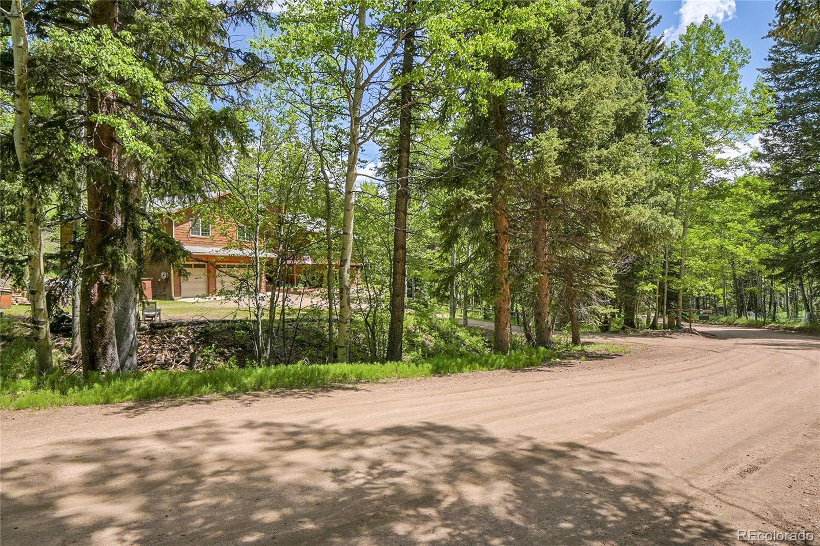 MLS Image #41 for 11182 s barney gulch road,conifer, Colorado