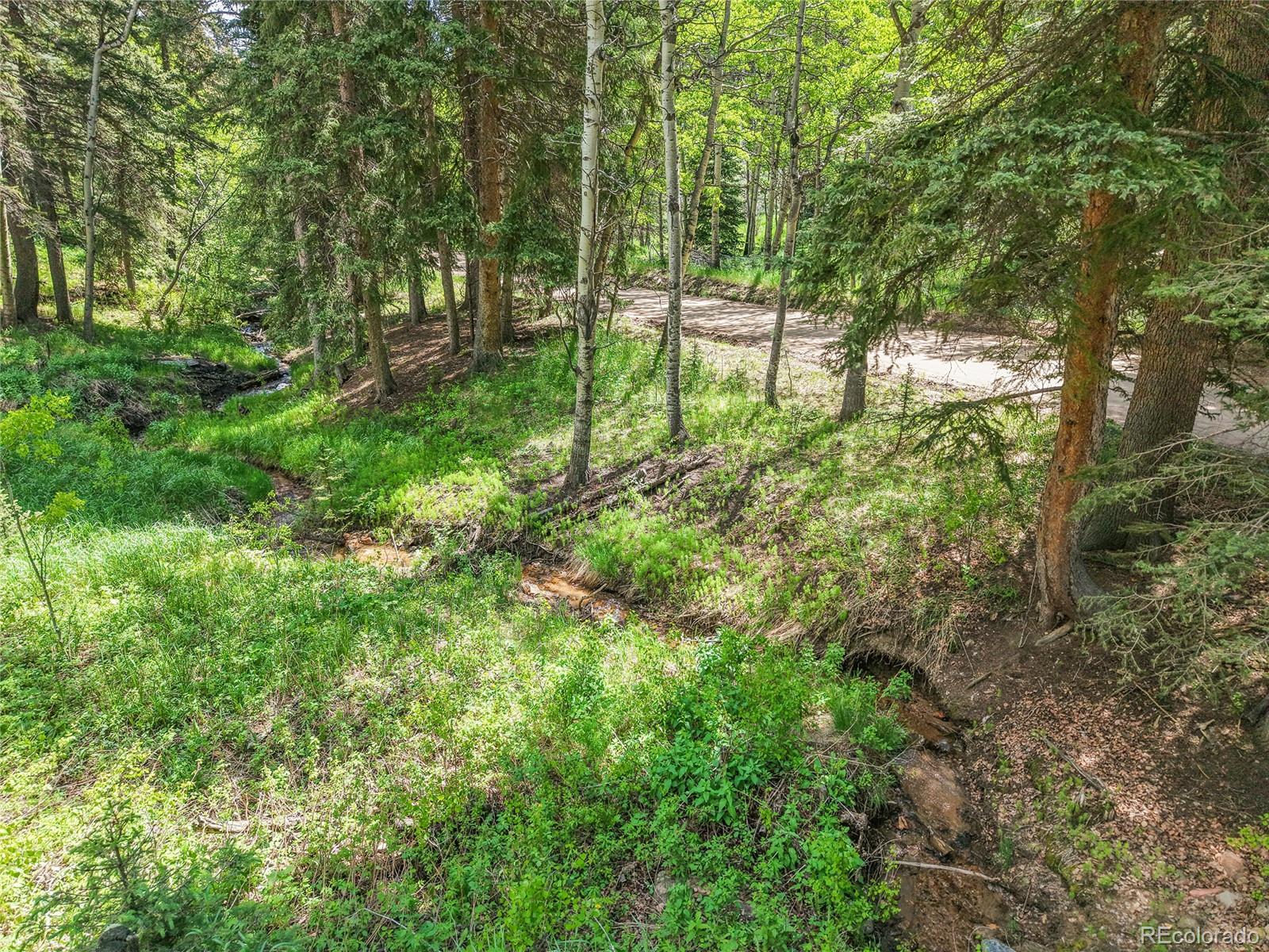 MLS Image #43 for 11182 s barney gulch road,conifer, Colorado