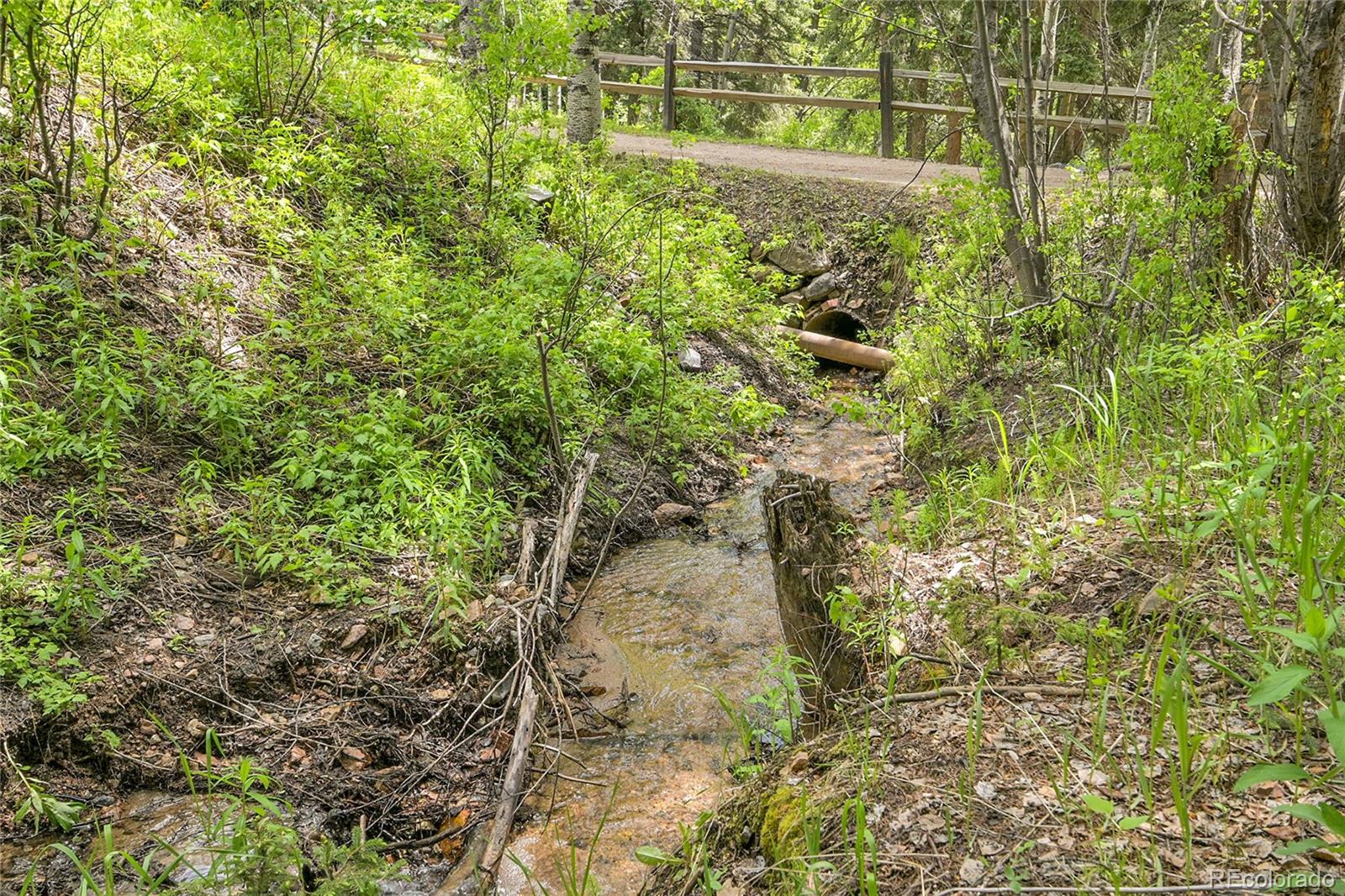 MLS Image #44 for 11182 s barney gulch road,conifer, Colorado