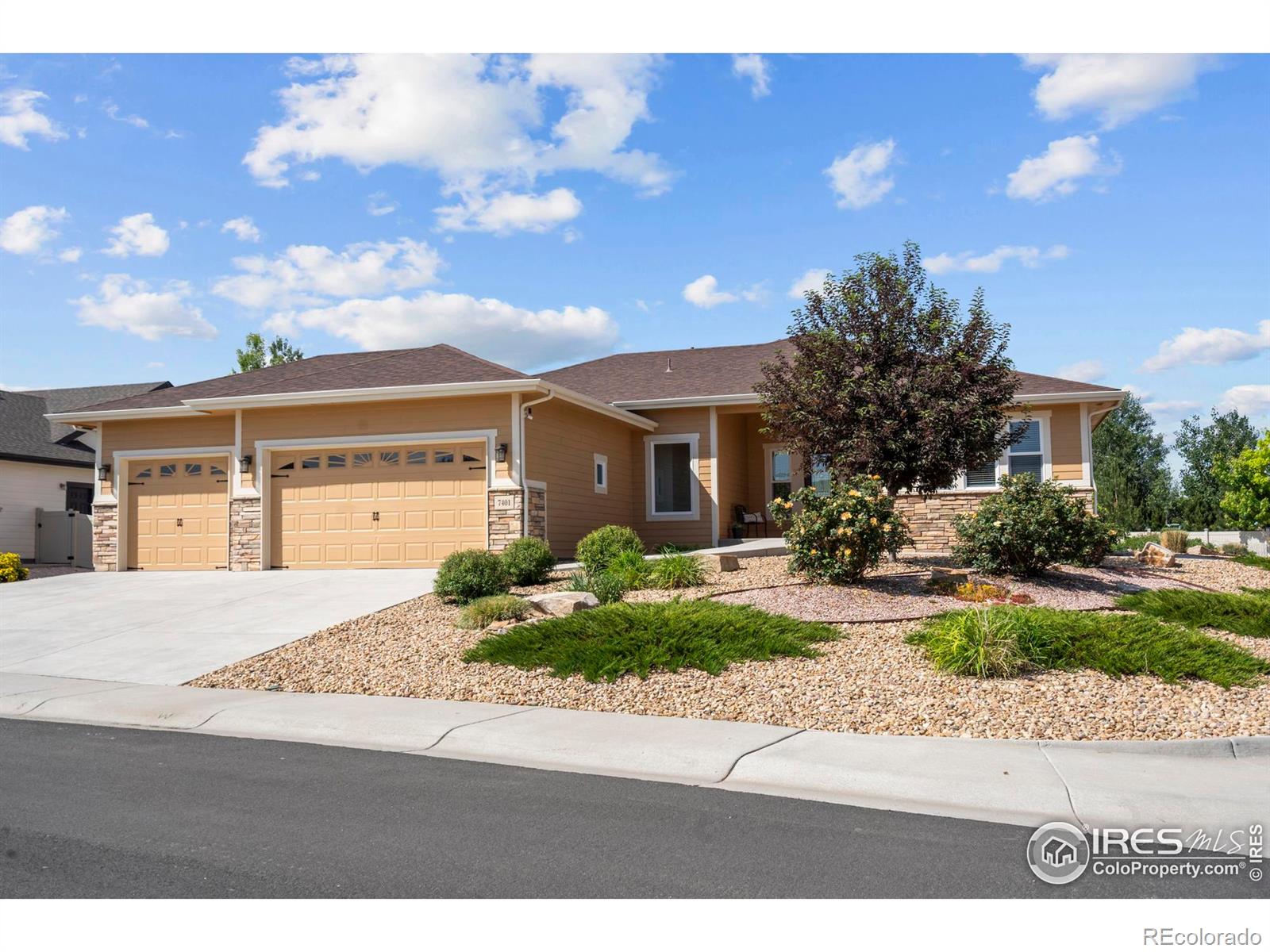 MLS Image #0 for 7401  turnbull court,windsor, Colorado
