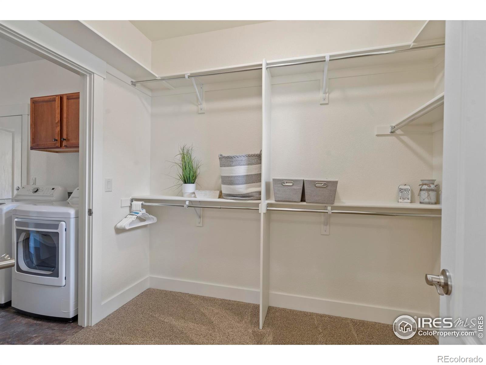MLS Image #18 for 7401  turnbull court,windsor, Colorado