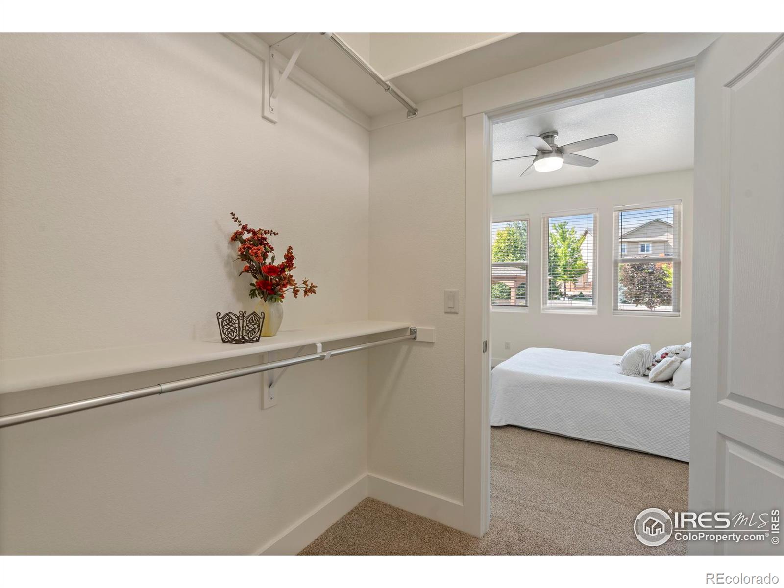 MLS Image #22 for 7401  turnbull court,windsor, Colorado