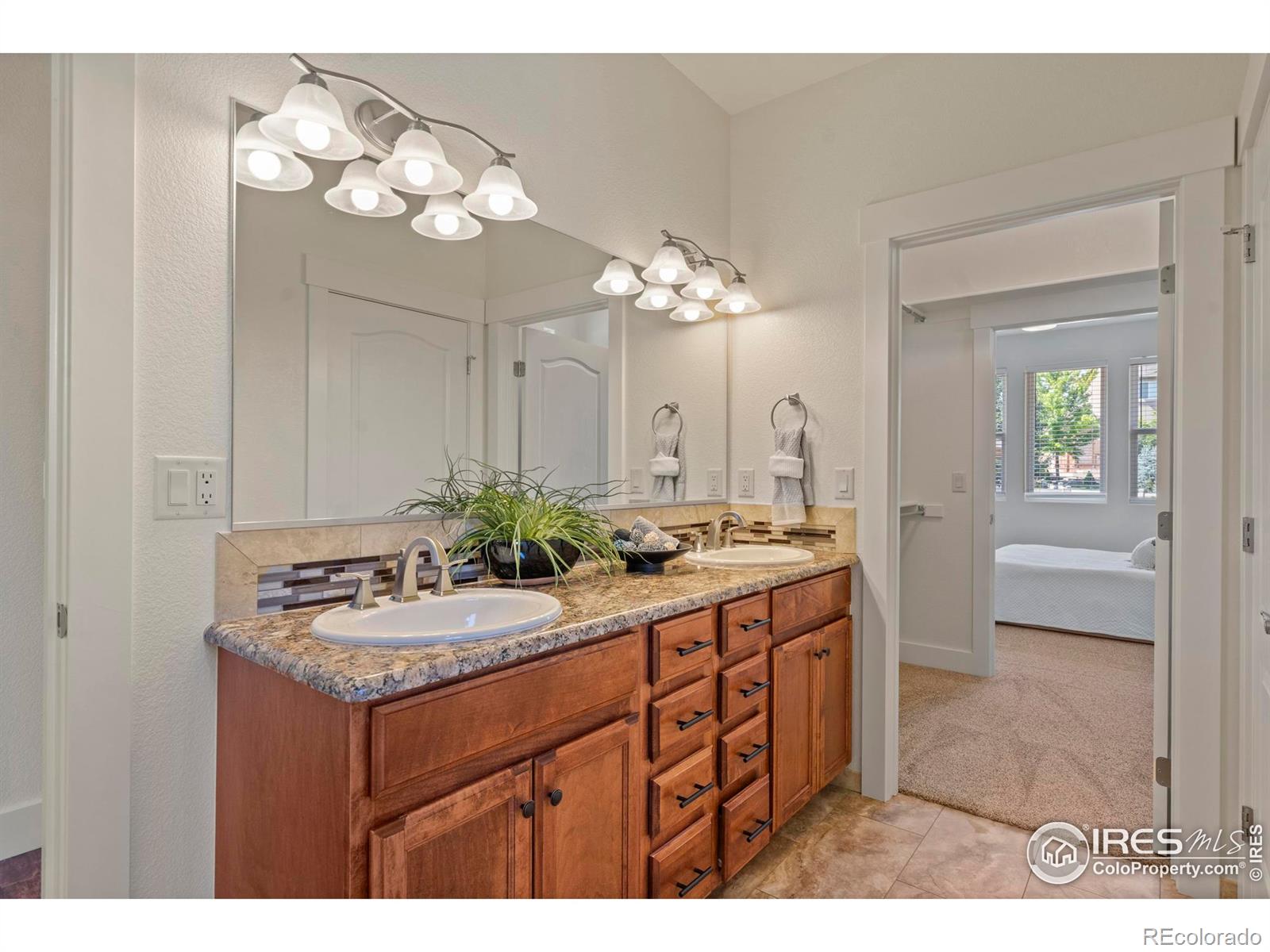 MLS Image #23 for 7401  turnbull court,windsor, Colorado
