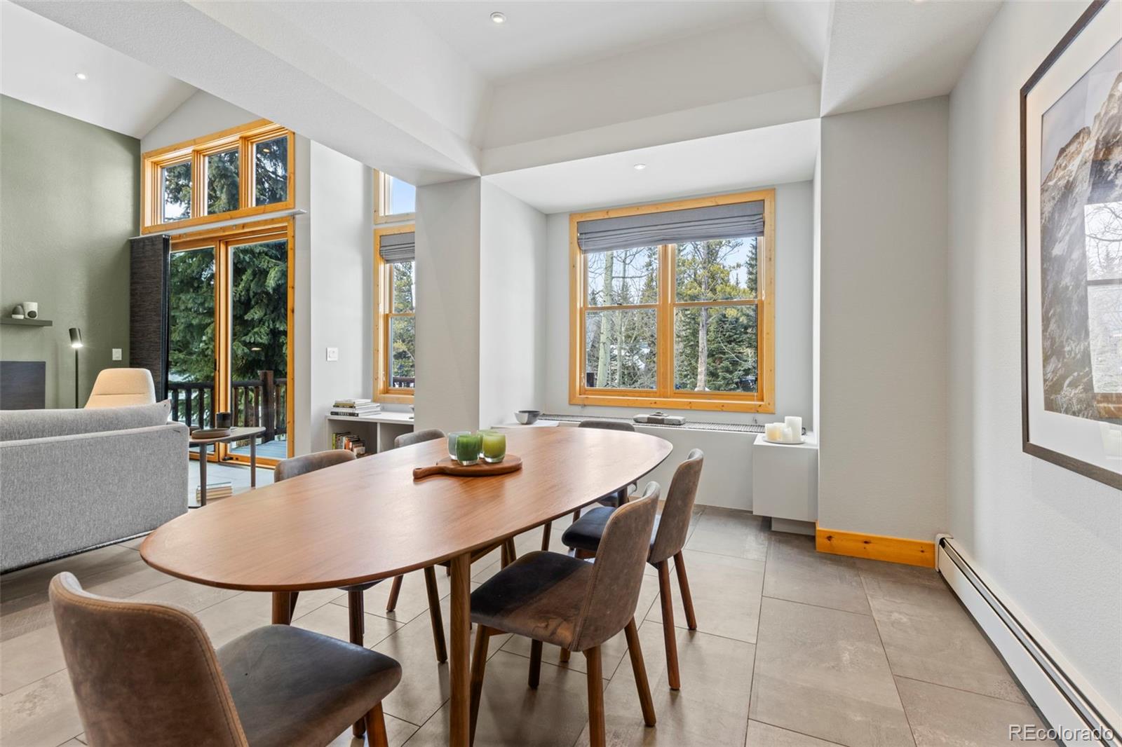MLS Image #14 for 293  settlers drive ,breckenridge, Colorado