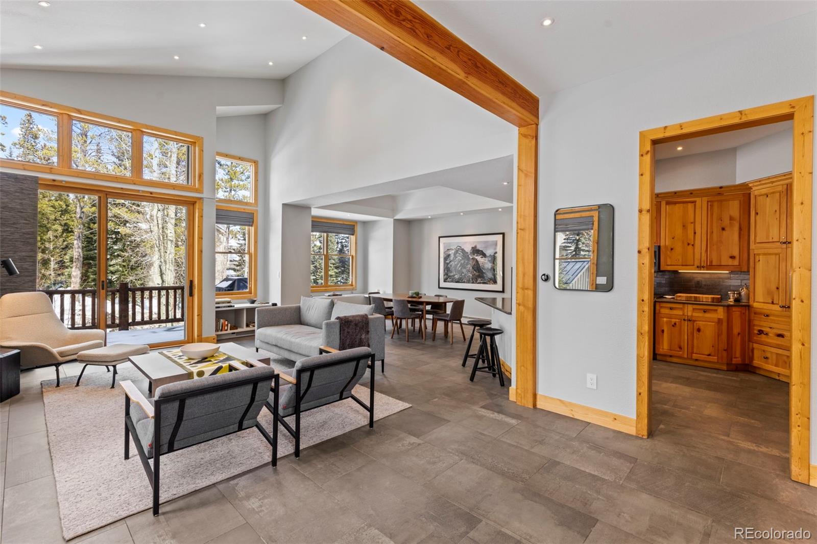 MLS Image #19 for 293  settlers drive ,breckenridge, Colorado