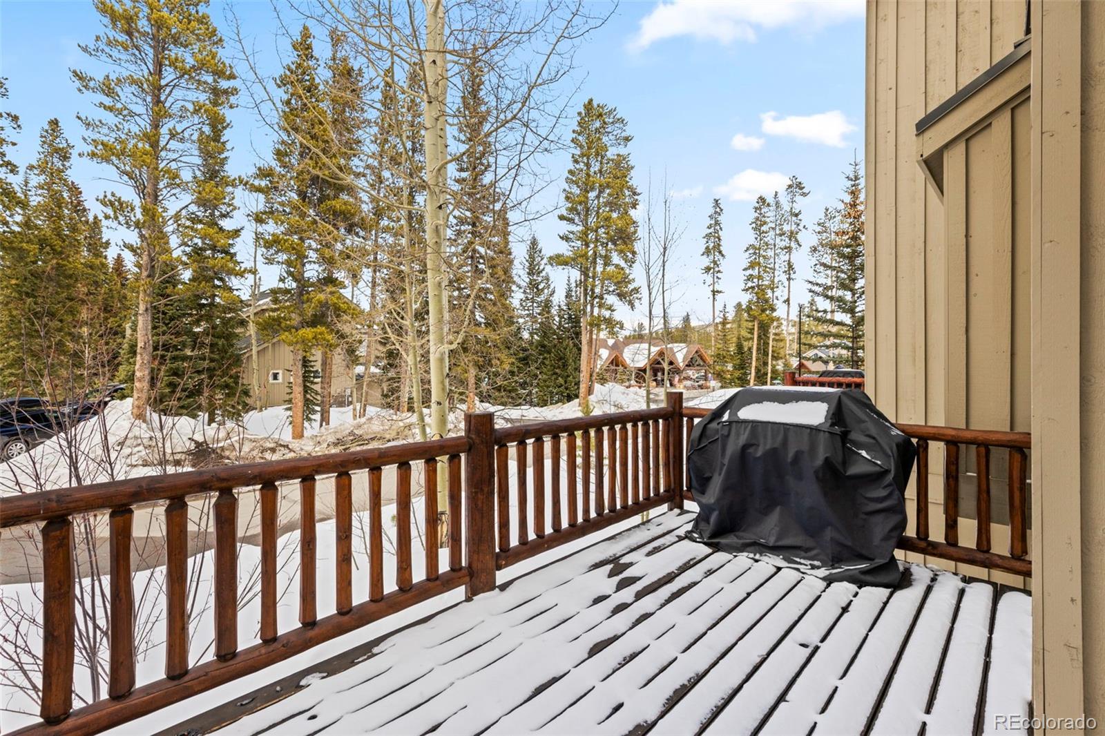 MLS Image #44 for 293  settlers drive ,breckenridge, Colorado