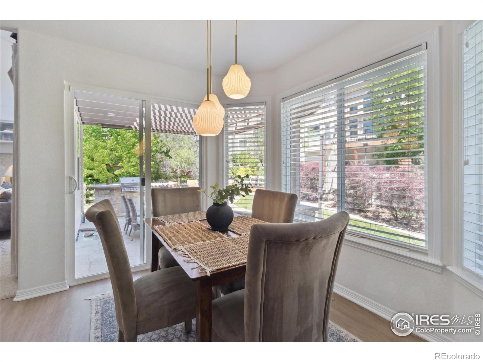 MLS Image #10 for 3931  stonegrass point,broomfield, Colorado