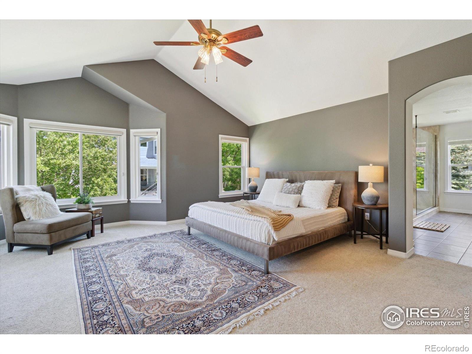 MLS Image #16 for 3931  stonegrass point,broomfield, Colorado