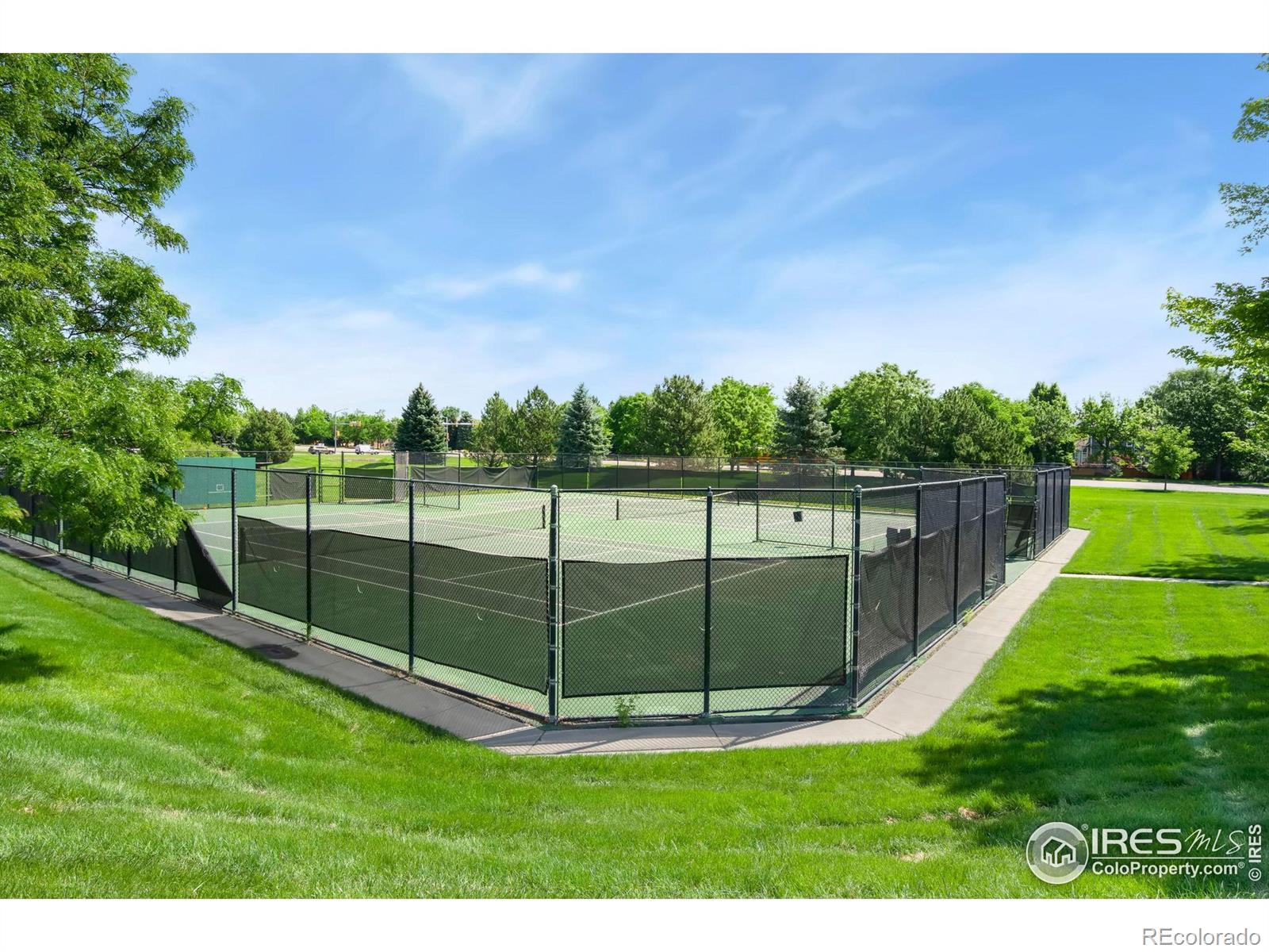 MLS Image #10 for 5225  white willow drive,fort collins, Colorado