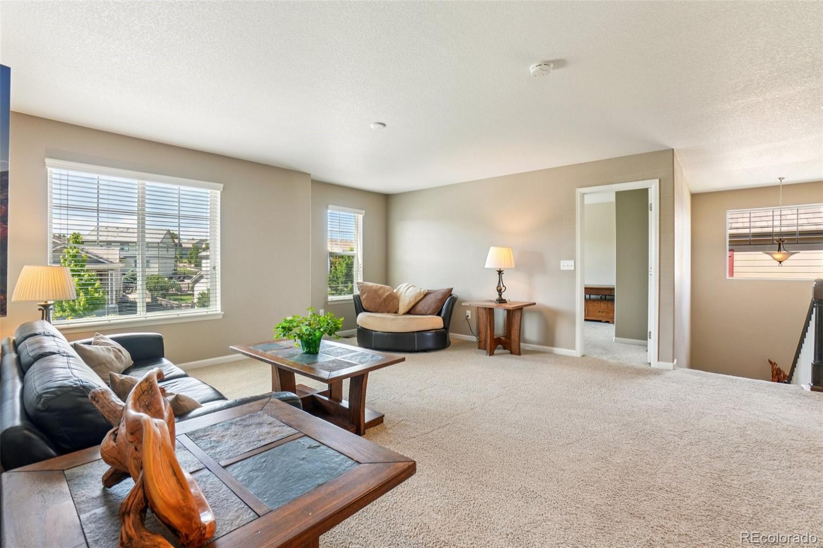 MLS Image #16 for 4920 s netherland way,centennial, Colorado