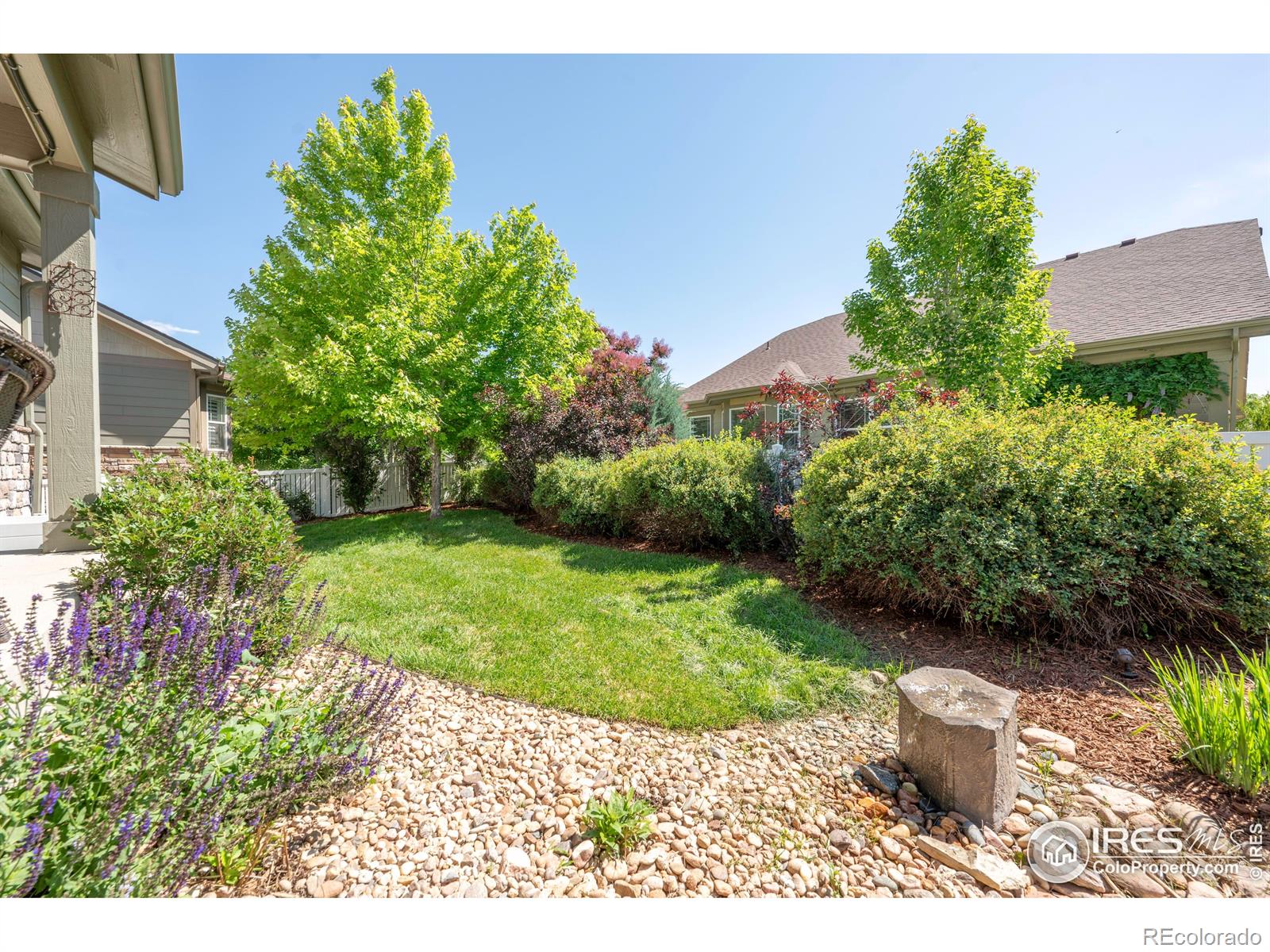 MLS Image #20 for 190  olympia avenue,longmont, Colorado