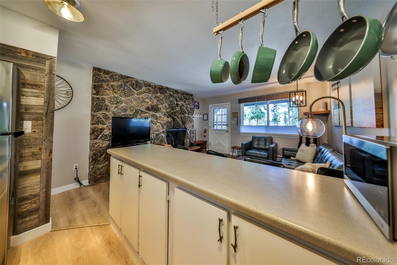 MLS Image #10 for 466  hi country drive,winter park, Colorado