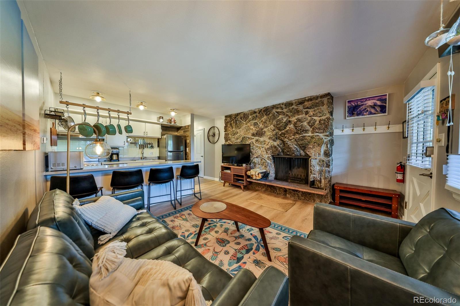 MLS Image #8 for 466  hi country drive,winter park, Colorado