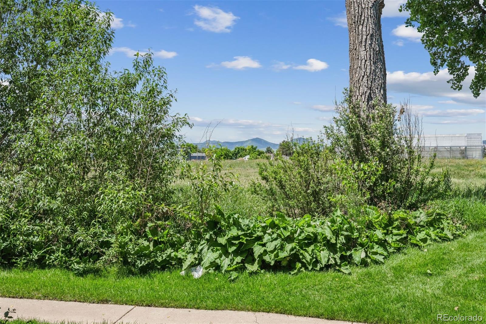MLS Image #9 for 4899 s dudley street,littleton, Colorado