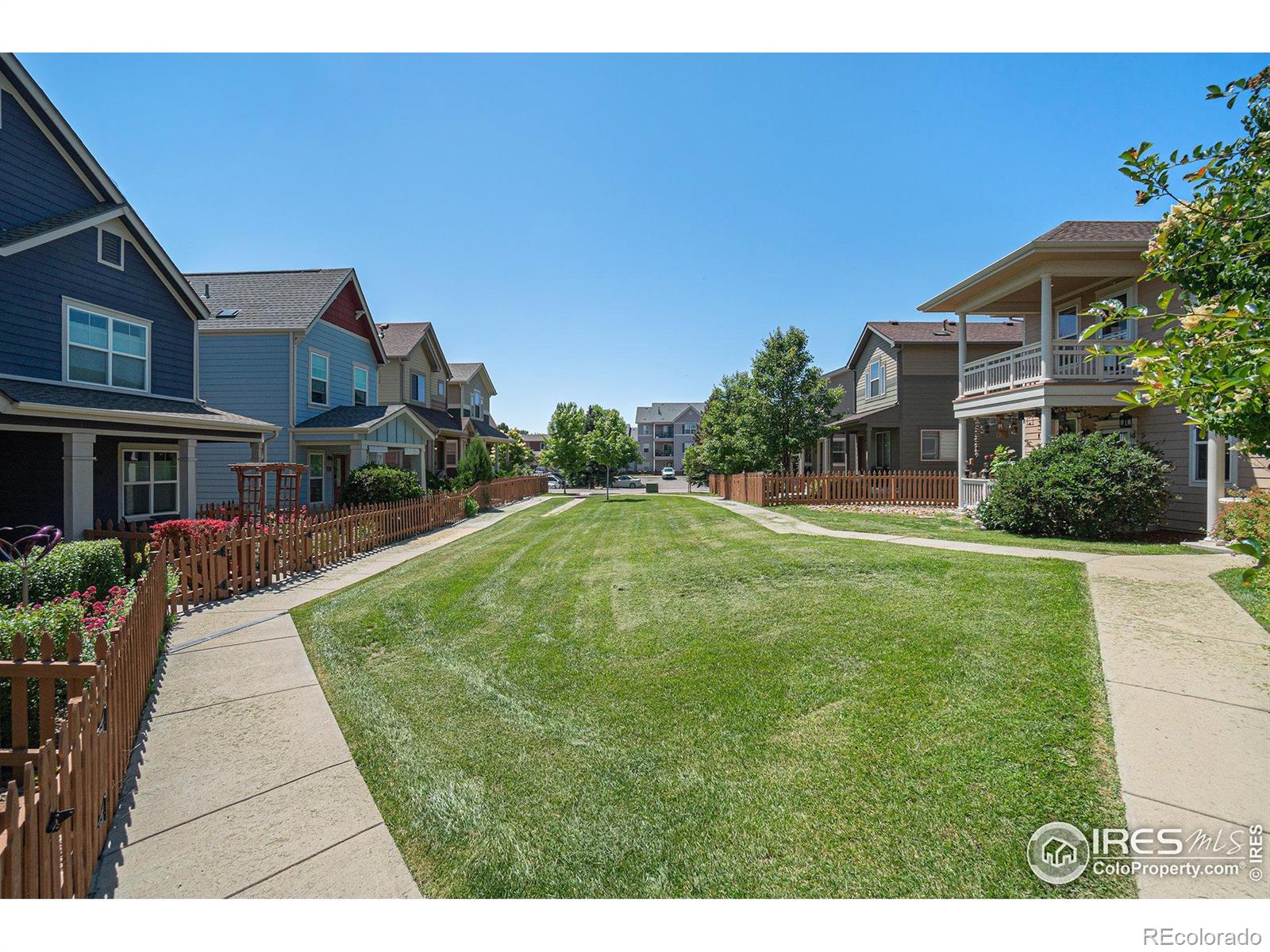 MLS Image #7 for 237  cardinal way,longmont, Colorado