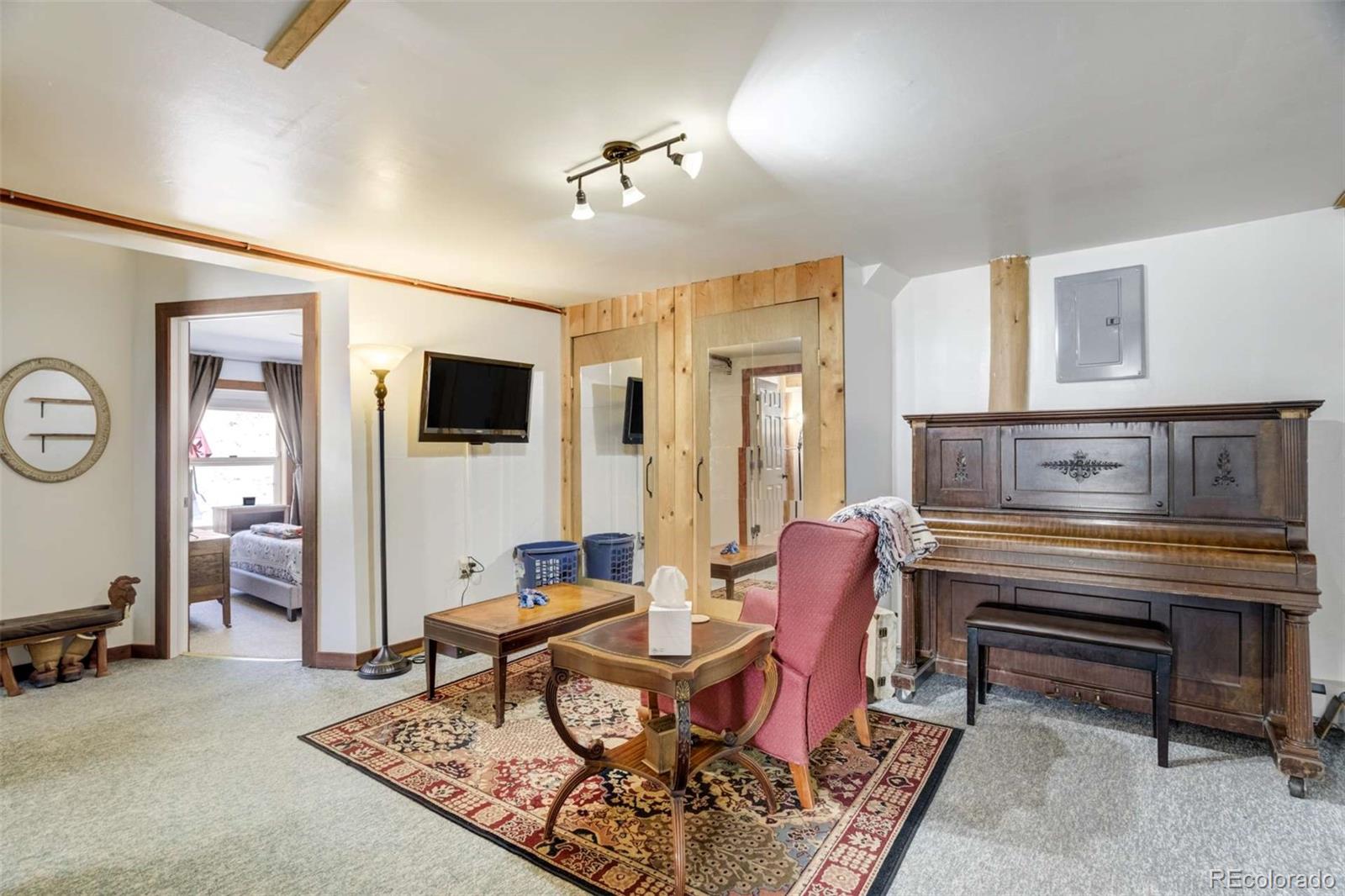 MLS Image #10 for 351  badger circle,guffey, Colorado