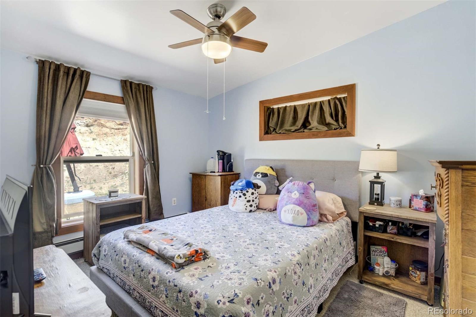 MLS Image #11 for 351  badger circle,guffey, Colorado