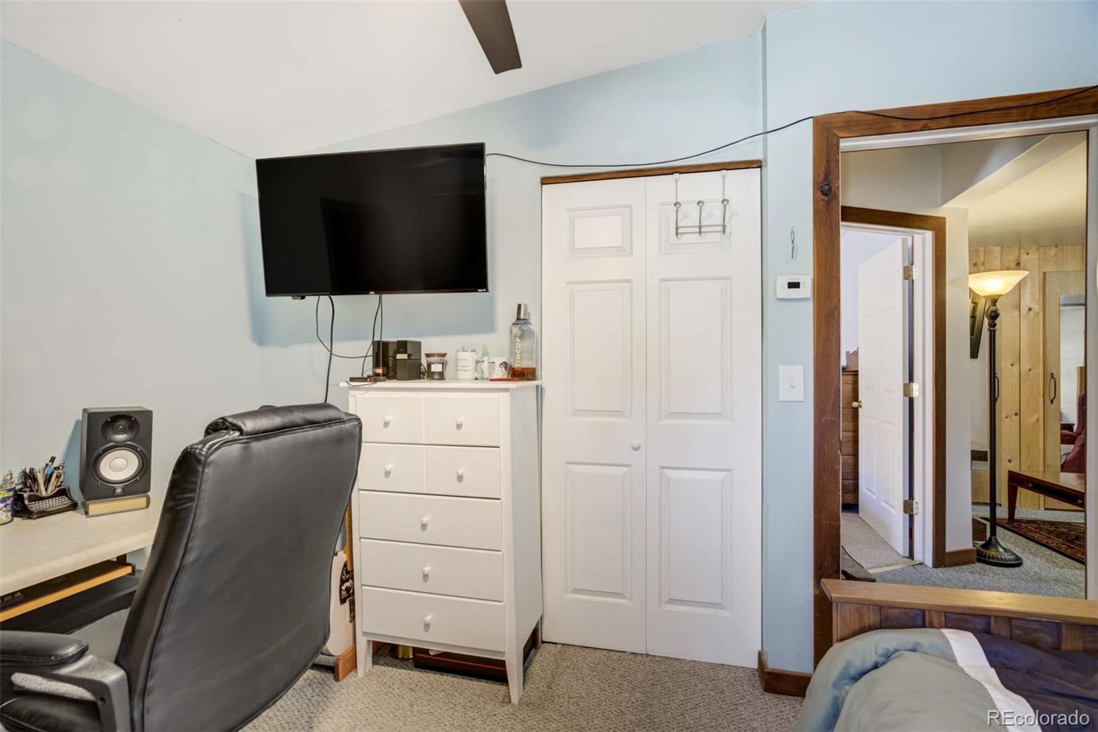 MLS Image #13 for 351  badger circle,guffey, Colorado