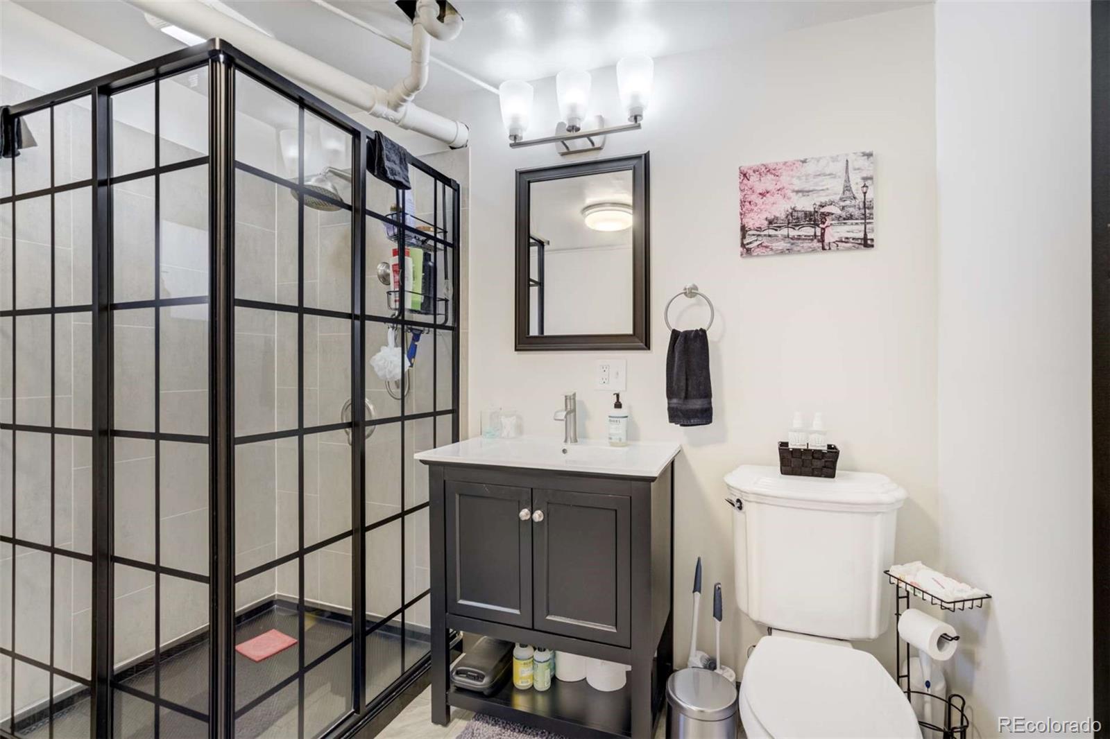 MLS Image #16 for 351  badger circle,guffey, Colorado
