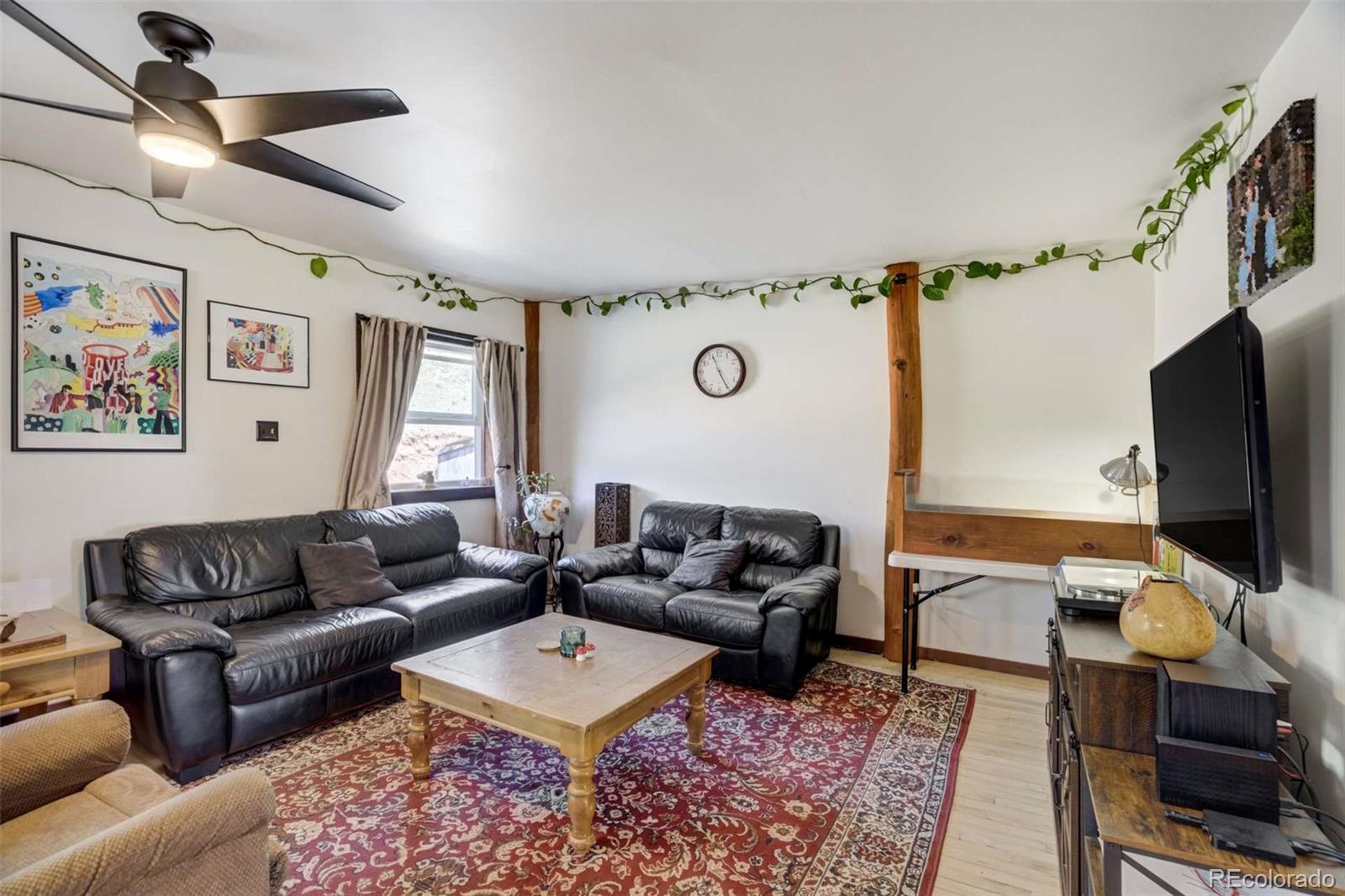 MLS Image #20 for 351  badger circle,guffey, Colorado