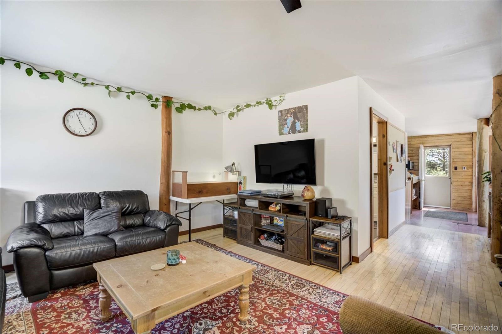 MLS Image #22 for 351  badger circle,guffey, Colorado