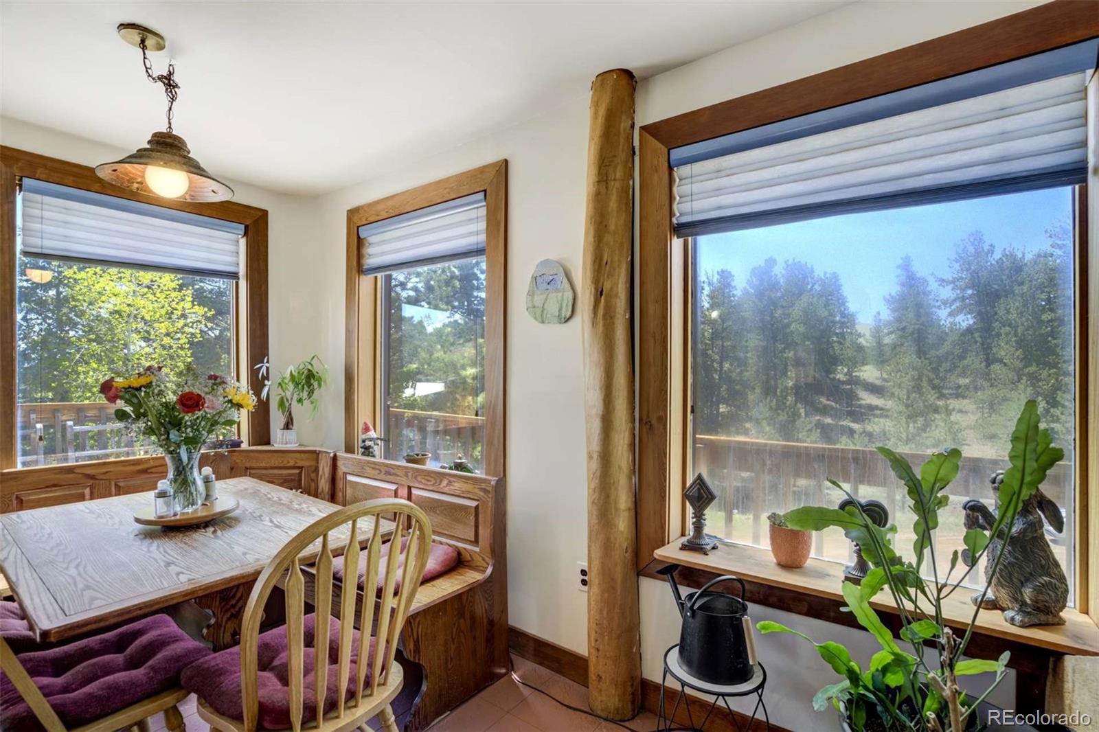 MLS Image #24 for 351  badger circle,guffey, Colorado
