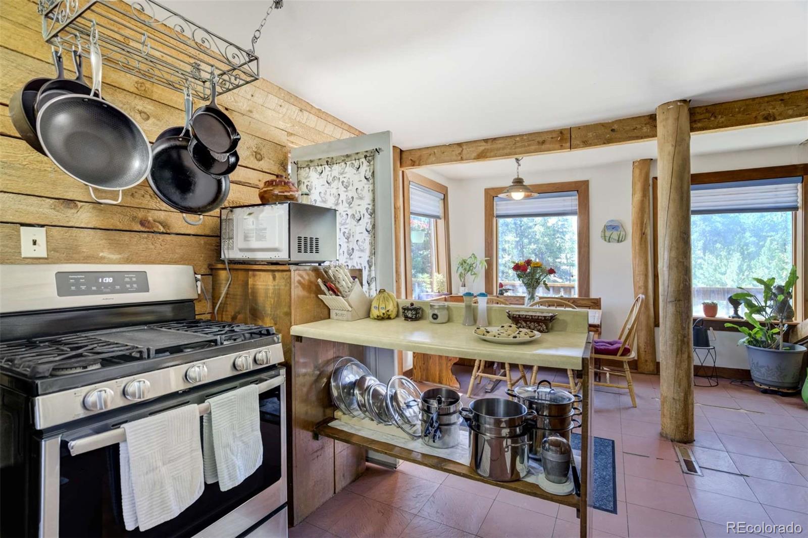 MLS Image #27 for 351  badger circle,guffey, Colorado