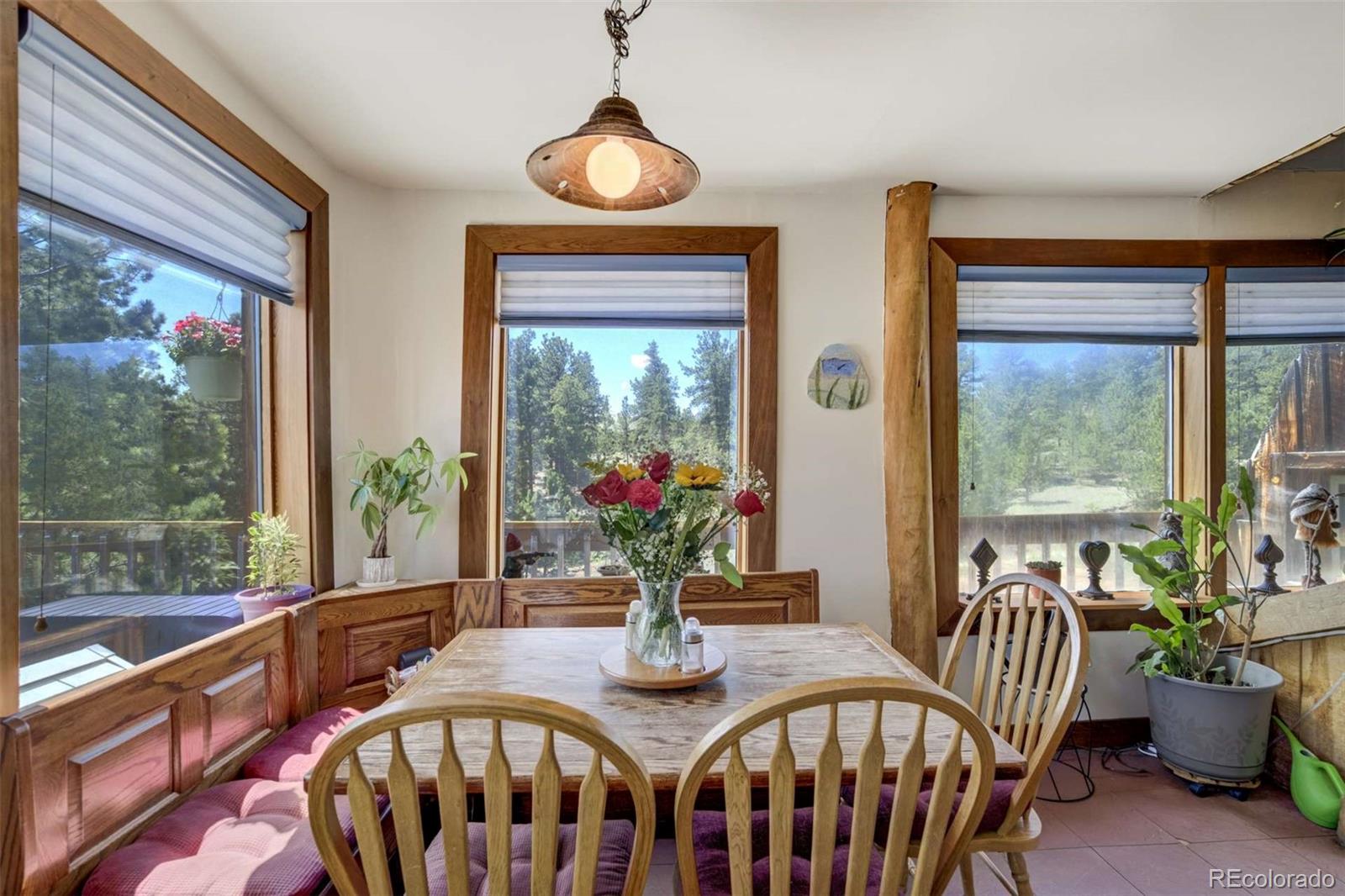 MLS Image #28 for 351  badger circle,guffey, Colorado