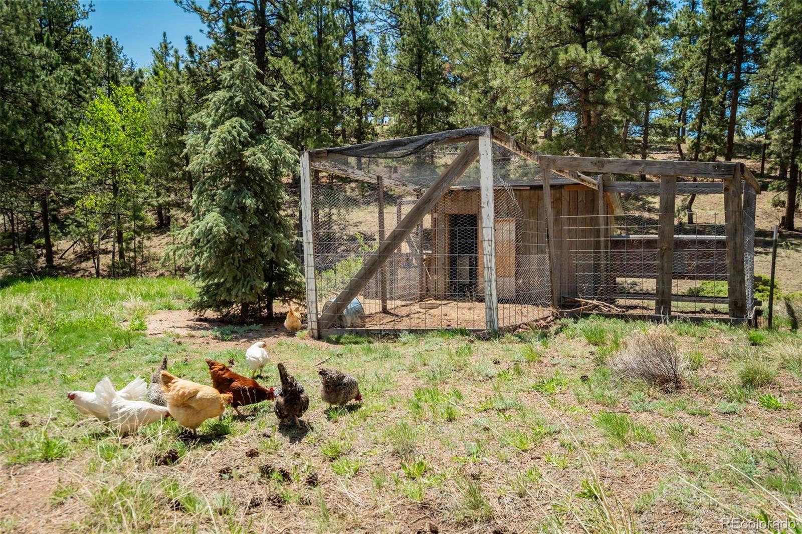 MLS Image #45 for 351  badger circle,guffey, Colorado