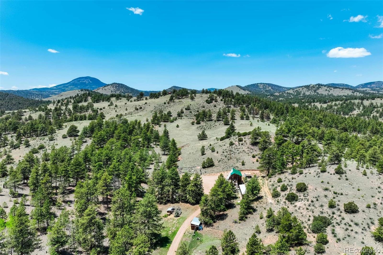 MLS Image #48 for 351  badger circle,guffey, Colorado