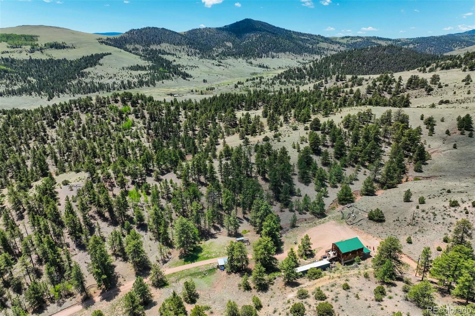 MLS Image #49 for 351  badger circle,guffey, Colorado