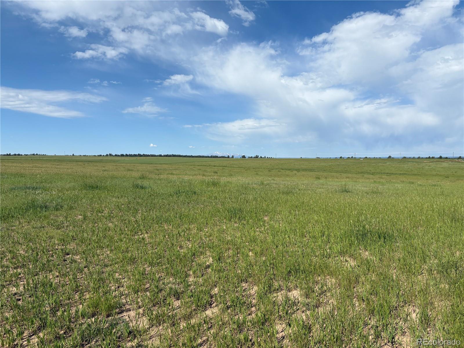 MLS Image #45 for 23554  county road 33 ,elbert, Colorado