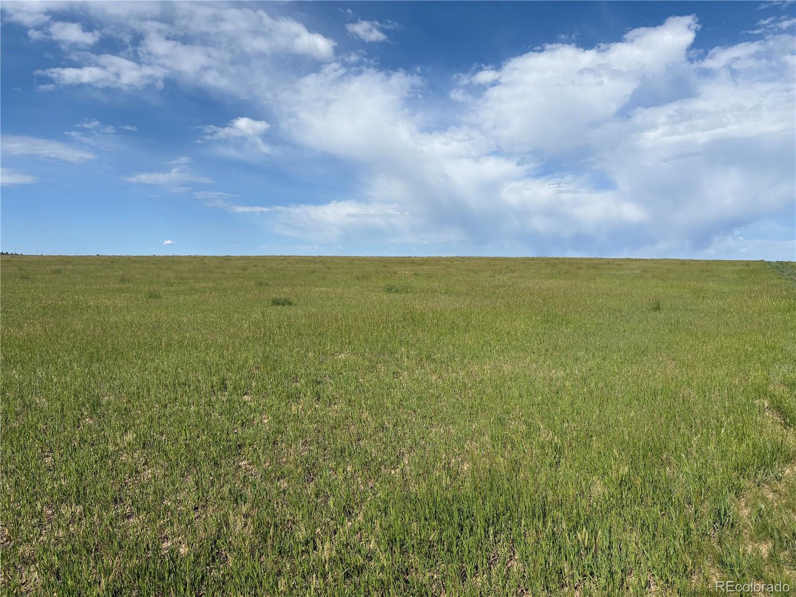 MLS Image #46 for 23554  county road 33 ,elbert, Colorado