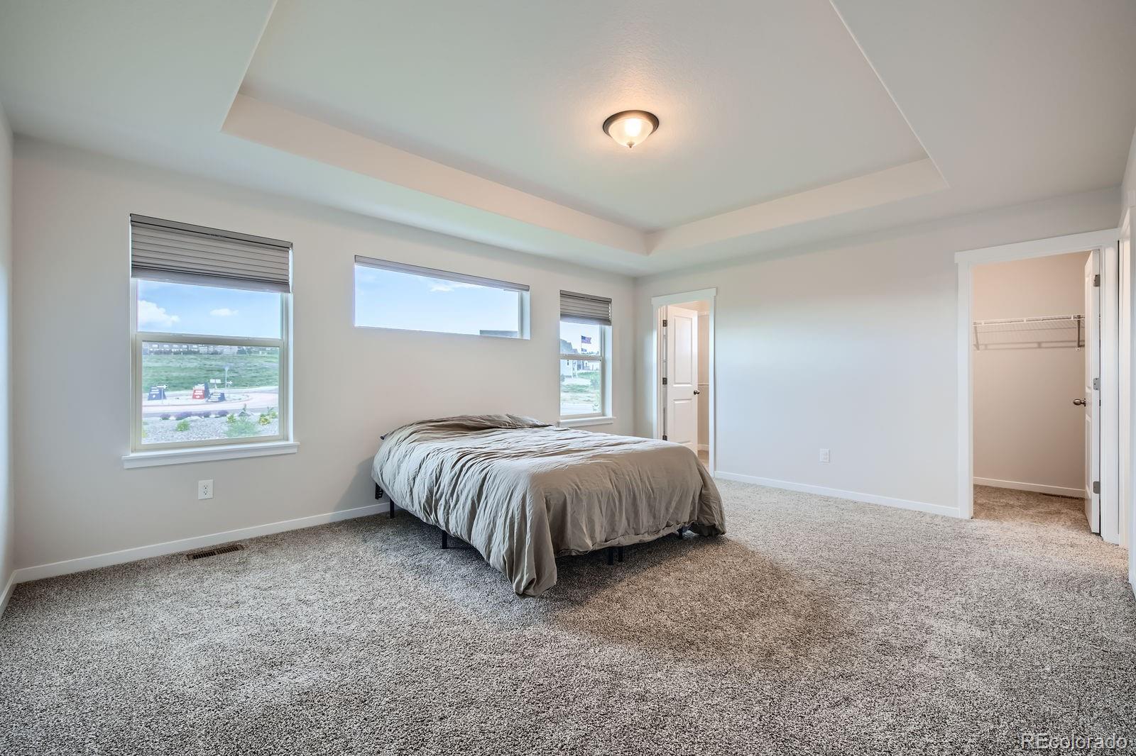 MLS Image #16 for 16881  roaming elk drive,monument, Colorado