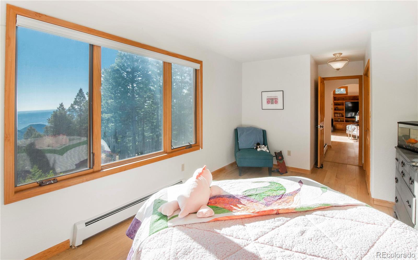 MLS Image #21 for 13416  kuehster road,littleton, Colorado