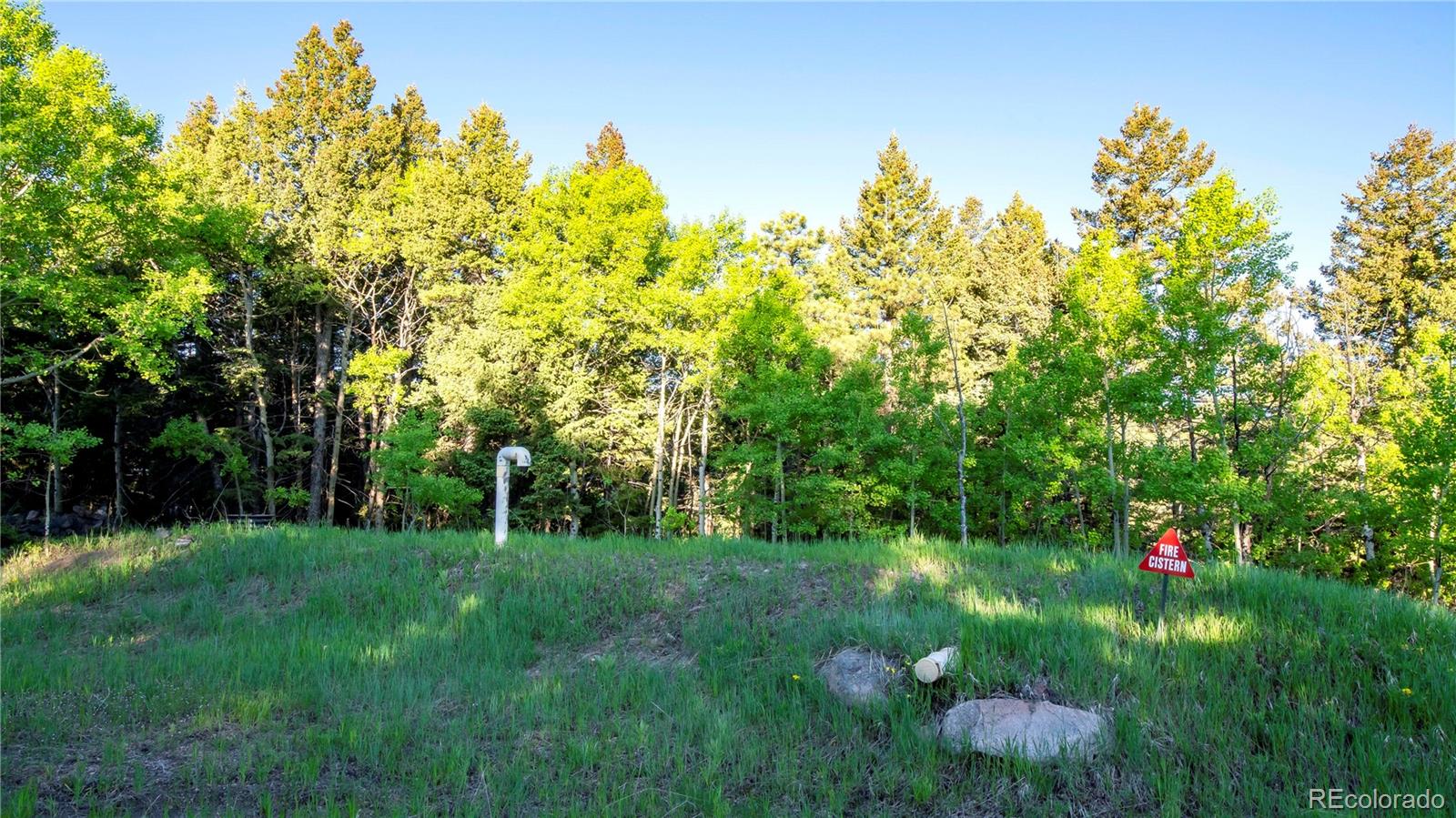 MLS Image #46 for 13416  kuehster road,littleton, Colorado