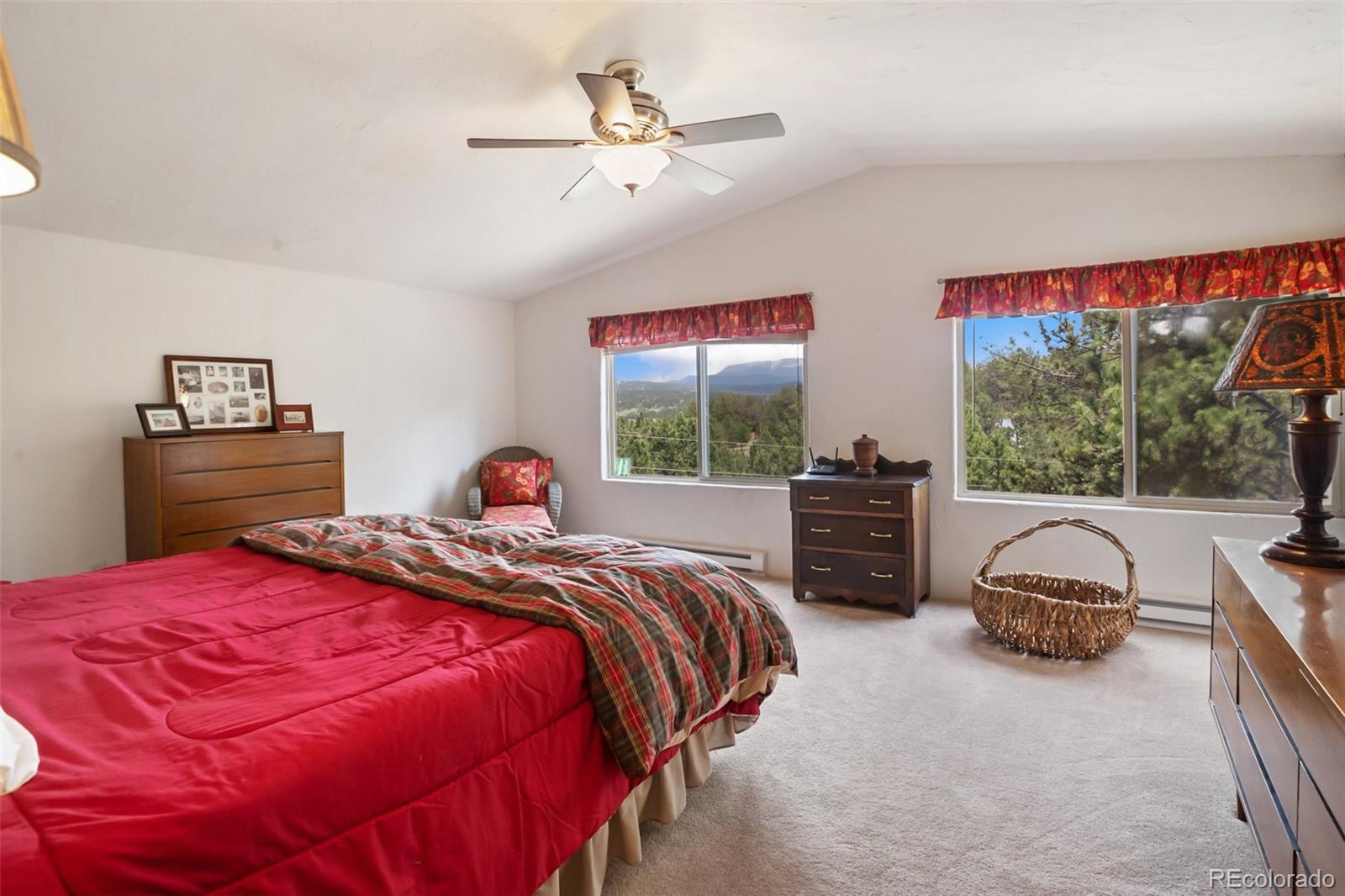 MLS Image #19 for 936  matterhorn drive,florissant, Colorado