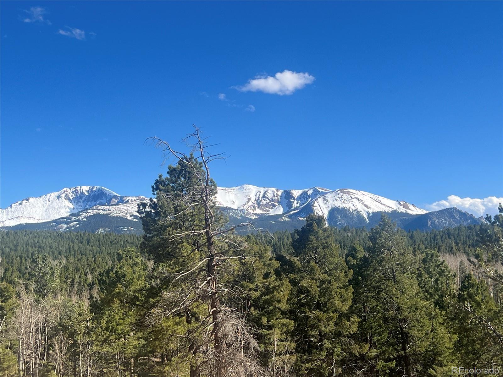 MLS Image #45 for 936  matterhorn drive,florissant, Colorado