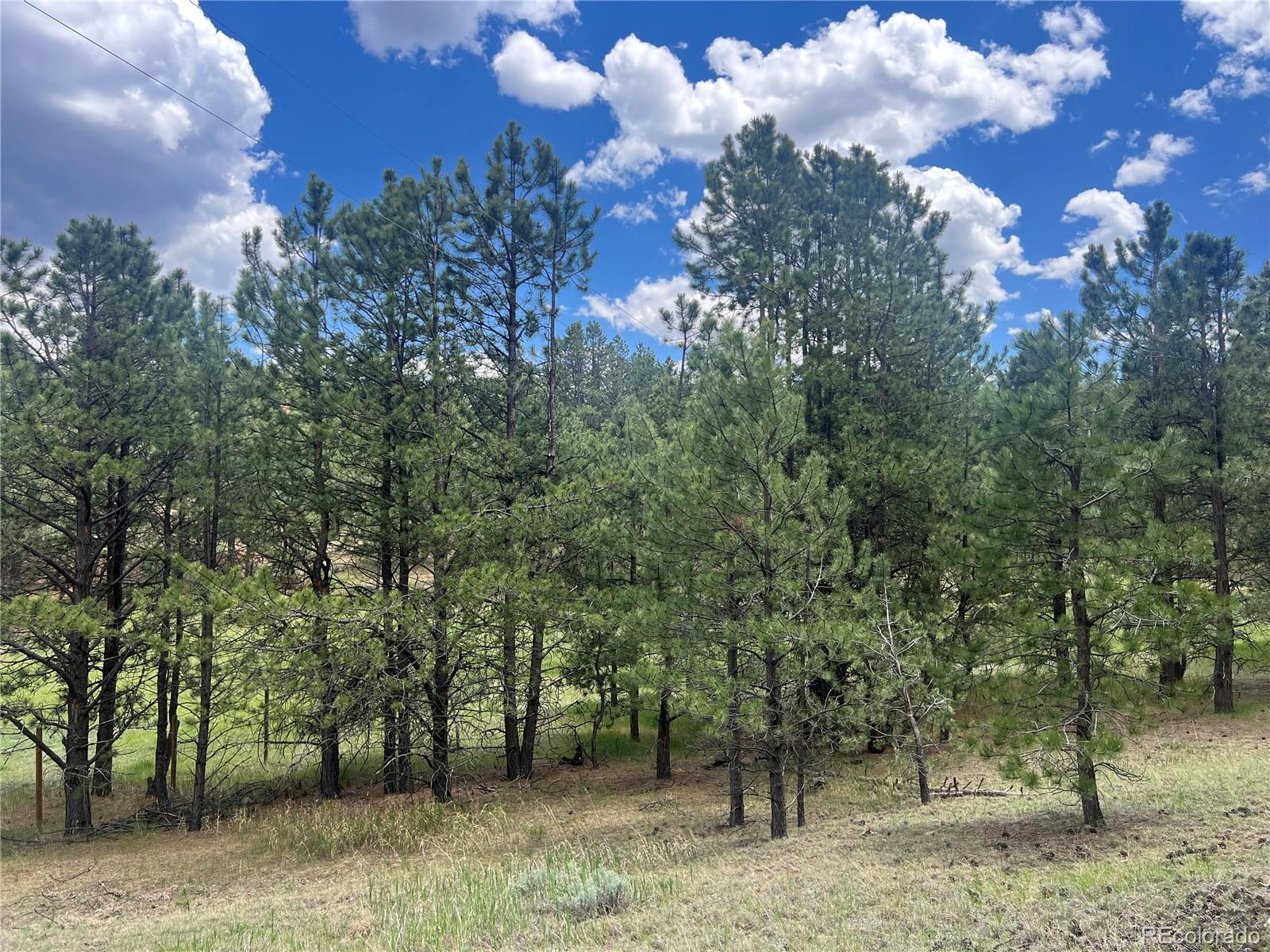 MLS Image #49 for 936  matterhorn drive,florissant, Colorado