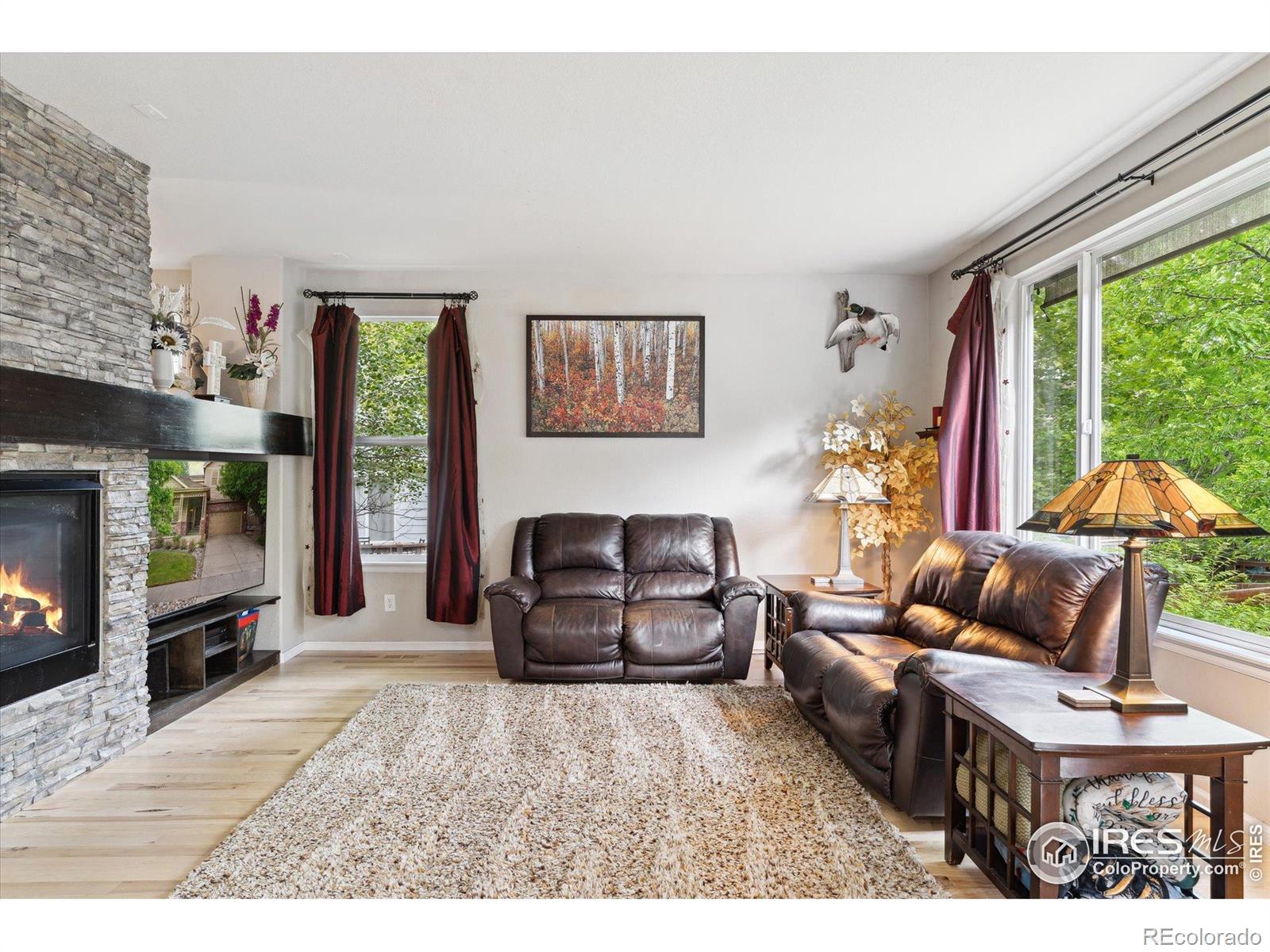 MLS Image #10 for 13266  teller lake way,broomfield, Colorado
