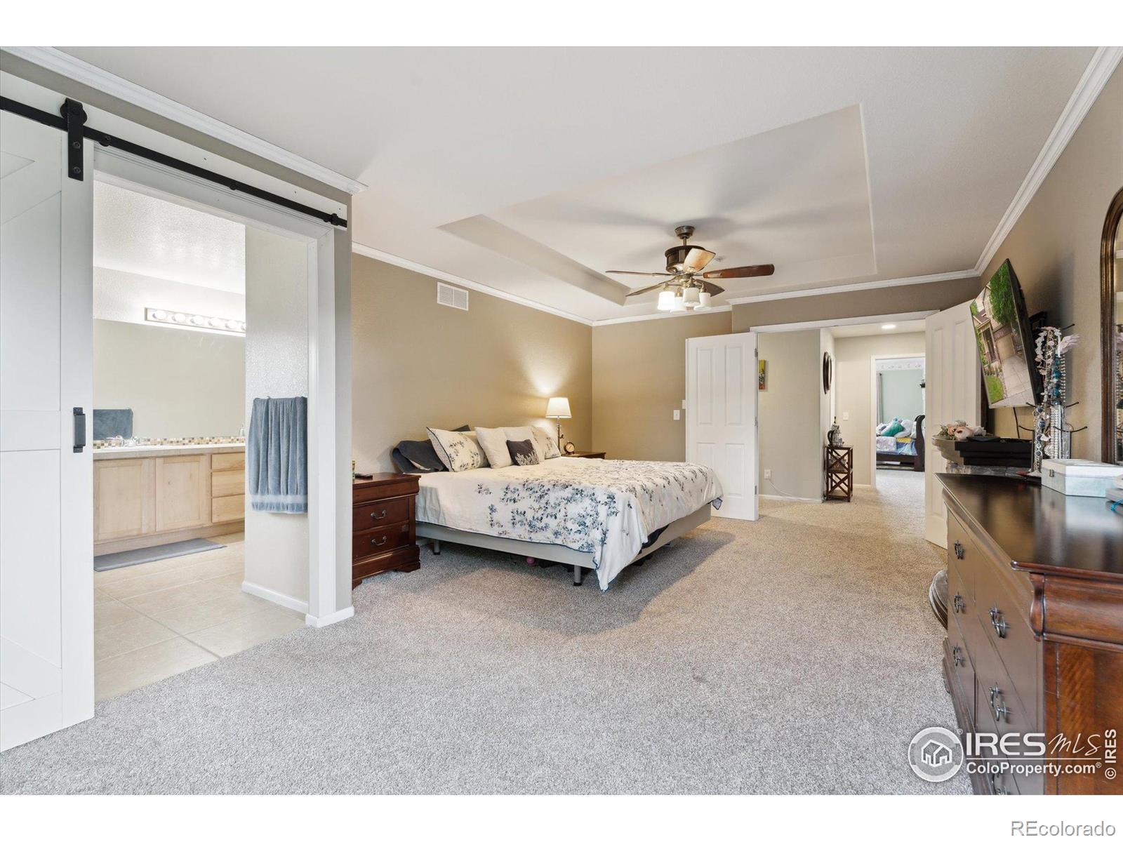MLS Image #20 for 13266  teller lake way,broomfield, Colorado