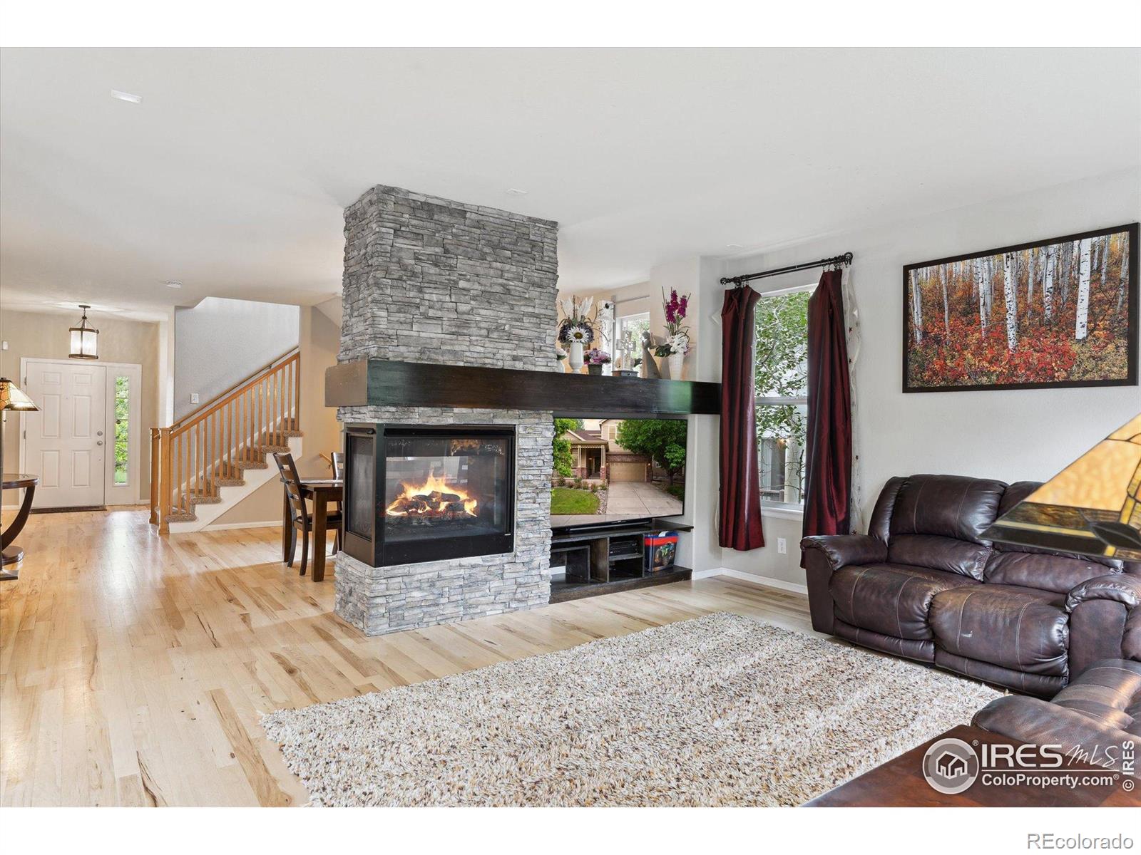 MLS Image #9 for 13266  teller lake way,broomfield, Colorado