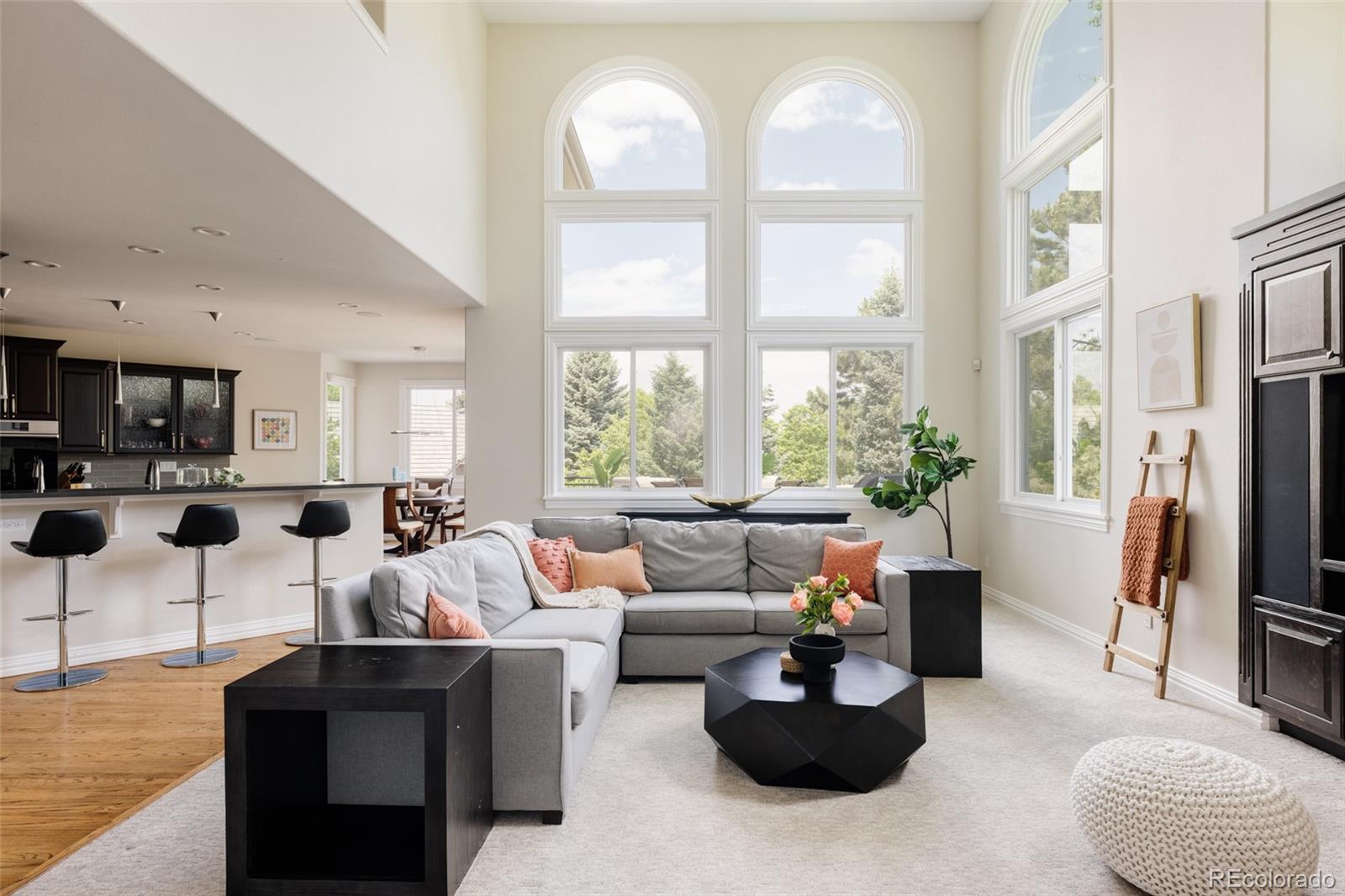 MLS Image #8 for 5301 s birch court,greenwood village, Colorado