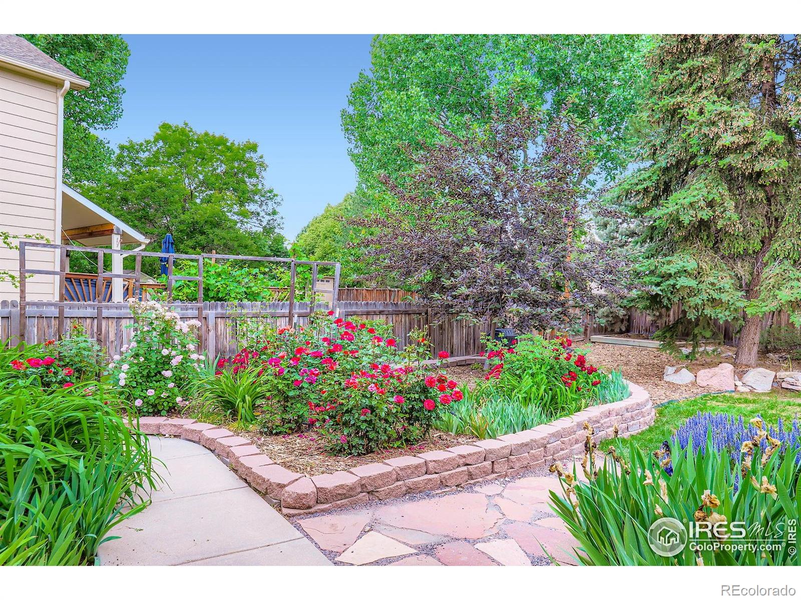 MLS Image #27 for 1616  cedarwood drive,longmont, Colorado