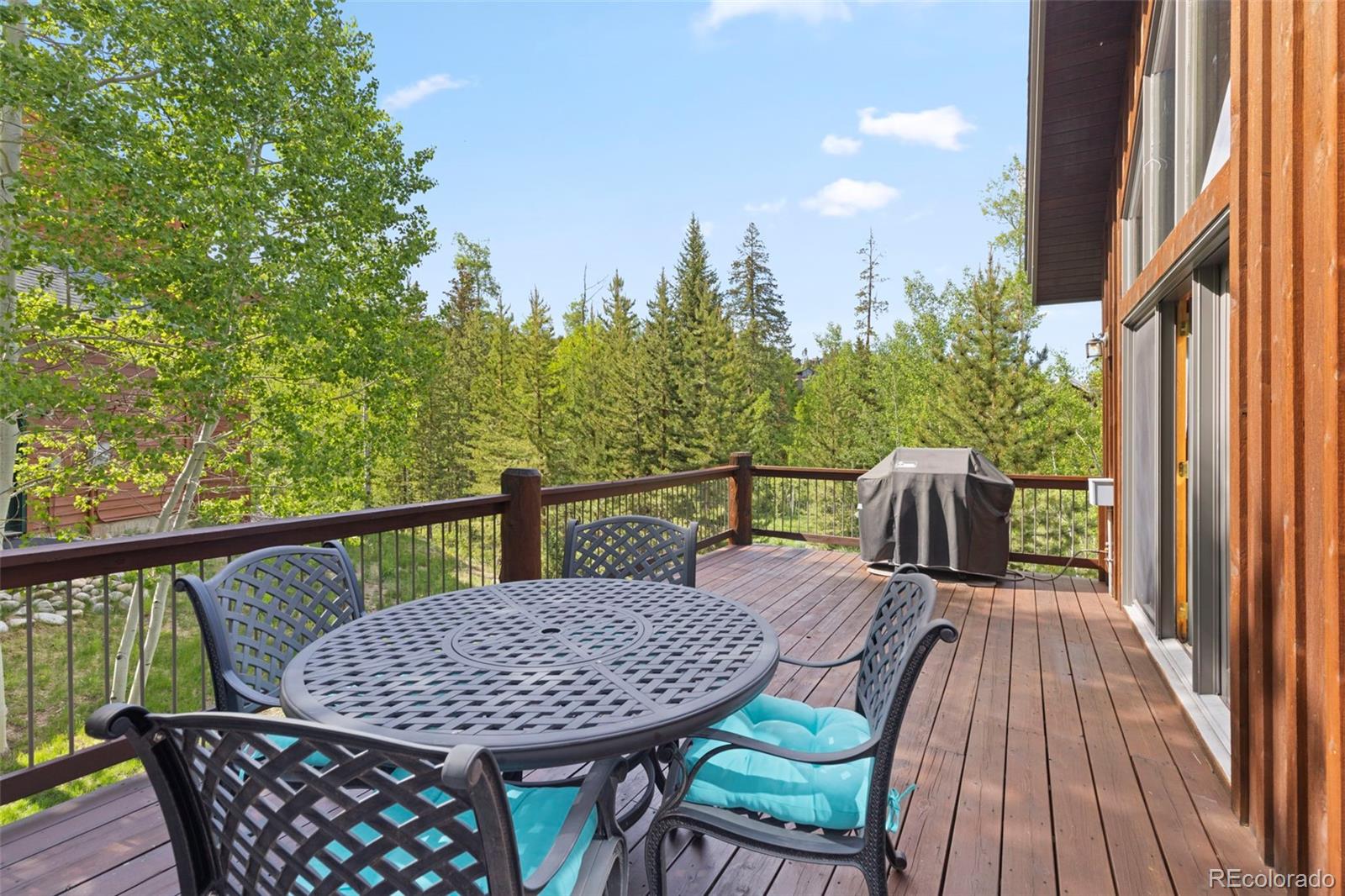 MLS Image #22 for 736  wild rose road,silverthorne, Colorado