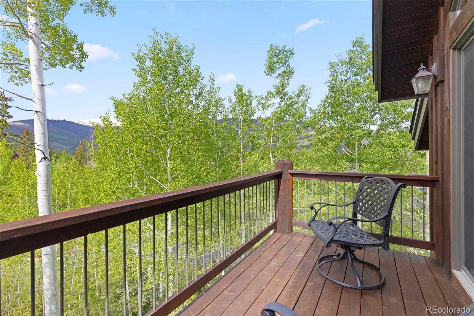 MLS Image #33 for 736  wild rose road,silverthorne, Colorado
