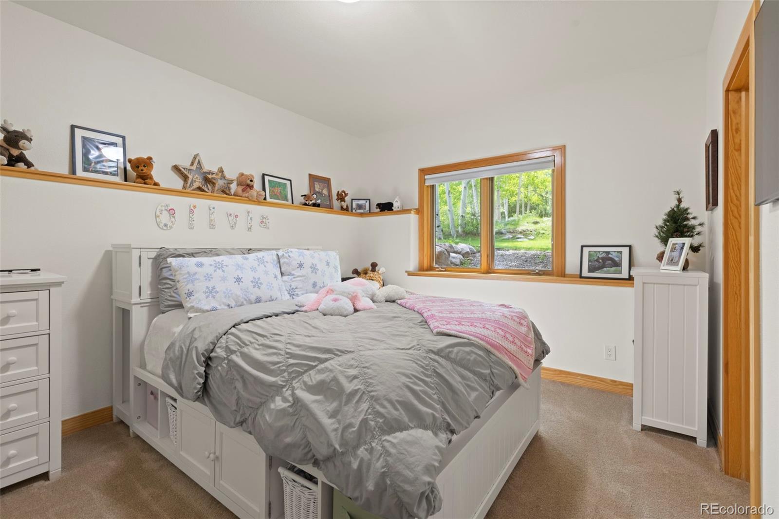 MLS Image #41 for 736  wild rose road,silverthorne, Colorado