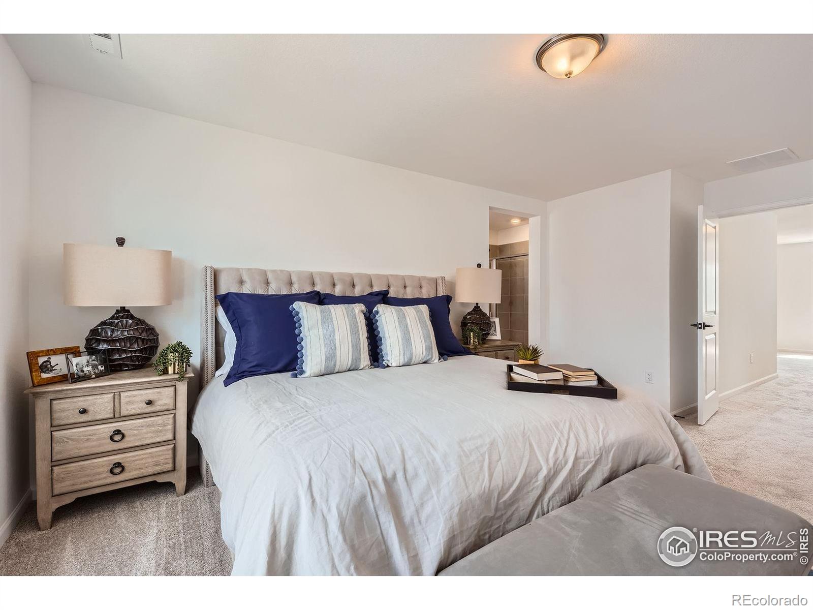 MLS Image #16 for 773  star grass lane,fort collins, Colorado